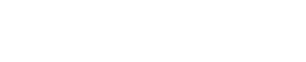 Oval Christmas Box 
Medium Christmas Tree                          $40.00

12 oz. of Chocolate Quail Eggs